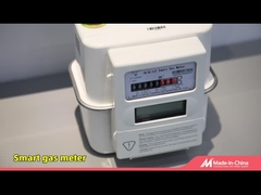 IOT Smart Gas Meter,LoRaWAN/Cat.1/RS485 Communication With AMI/AMR Solutions