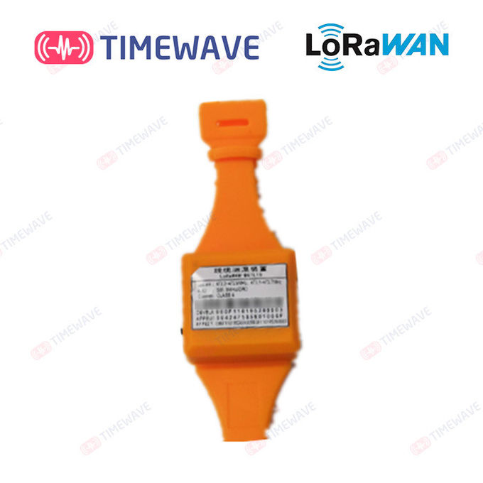 Lora Cable Temperature Measuring Device LoRaWAN Communication With